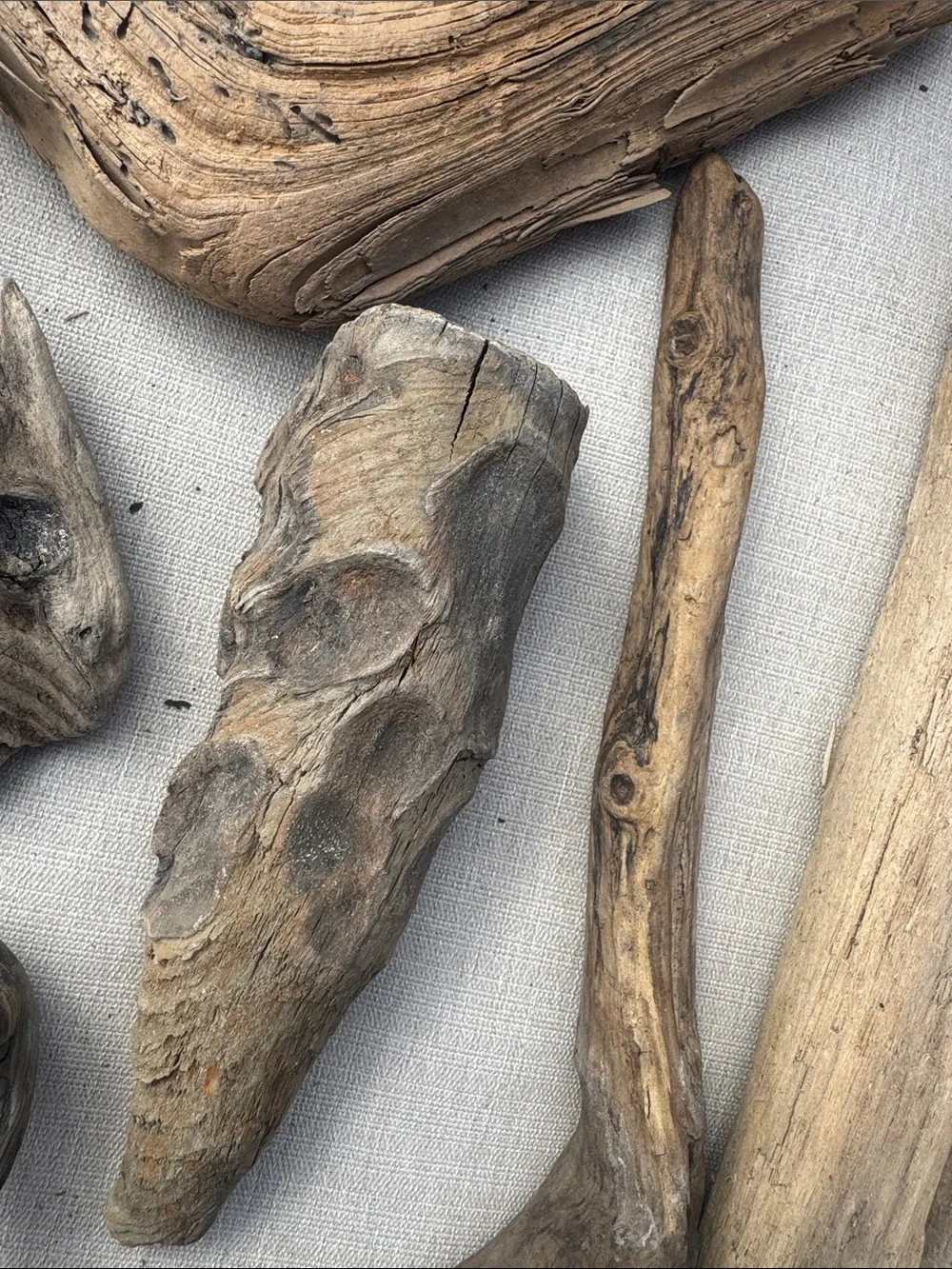 11 pc (5lbs shipped) Natural Driftwood Decorative Accent Pieces-craft & display